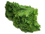 Lettuce looseleaf