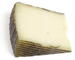 Cheese manchego