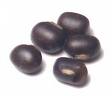 Black azuki