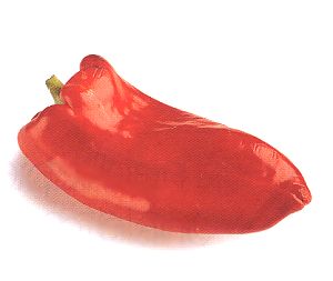 Piquillo pepper