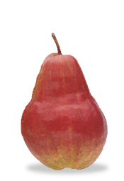 Red bartlett