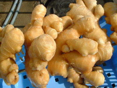 Ginger | Recipes Wiki | FANDOM powered by Wikia