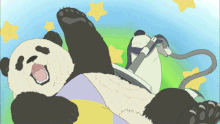 PandaVacuum