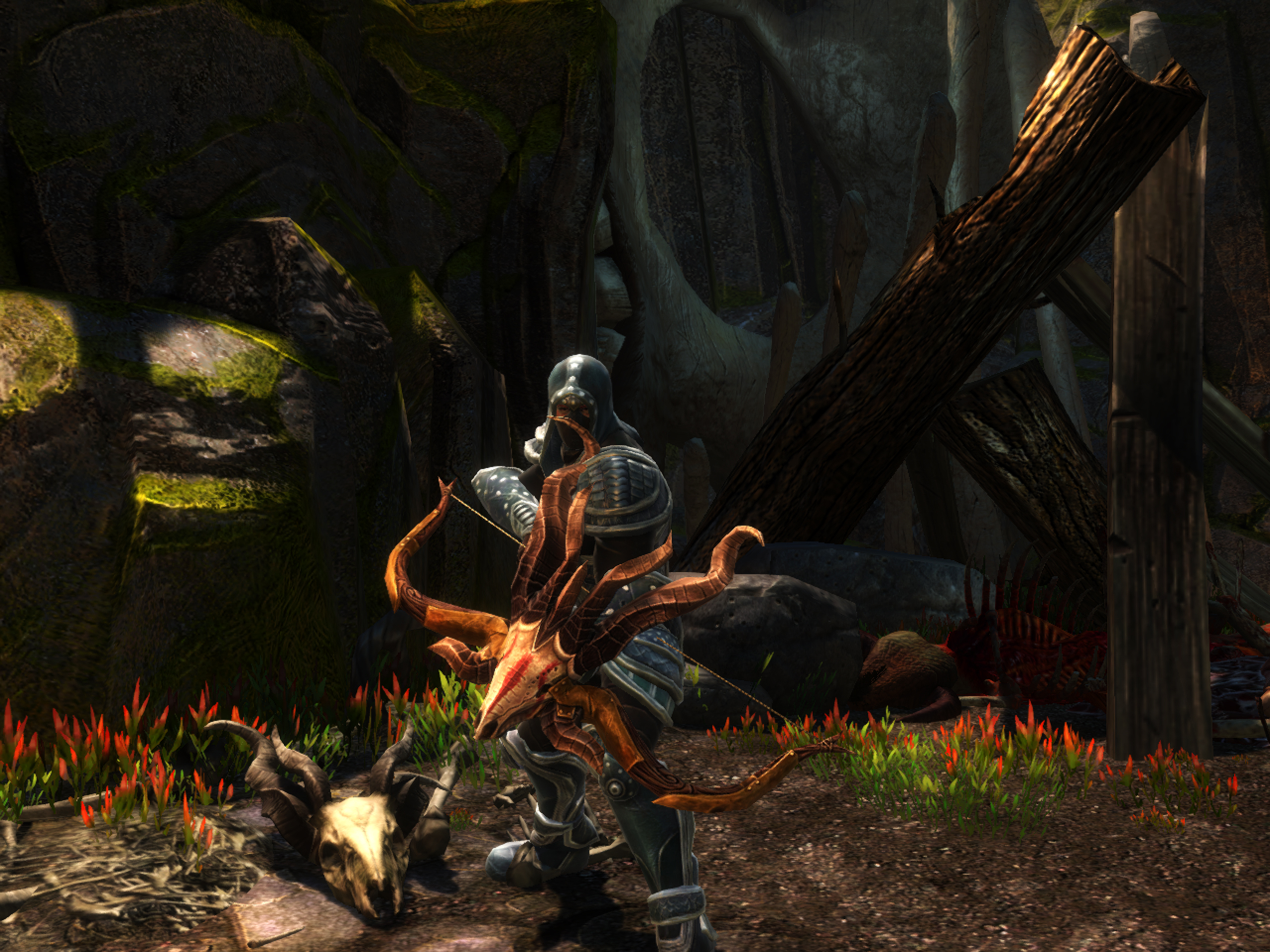 the falconeer the hunter the falconeer the hunter