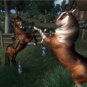 Horse