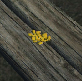 The Lady's Blossom Seeds