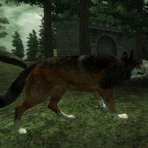 FireWolf