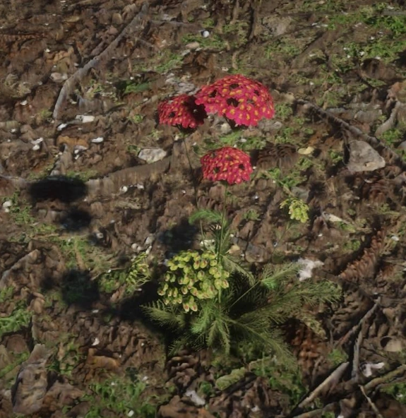 Тысячелистник | Red Dead Wiki | Fandom