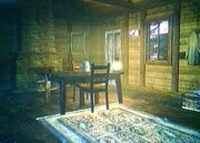 Silent stead2