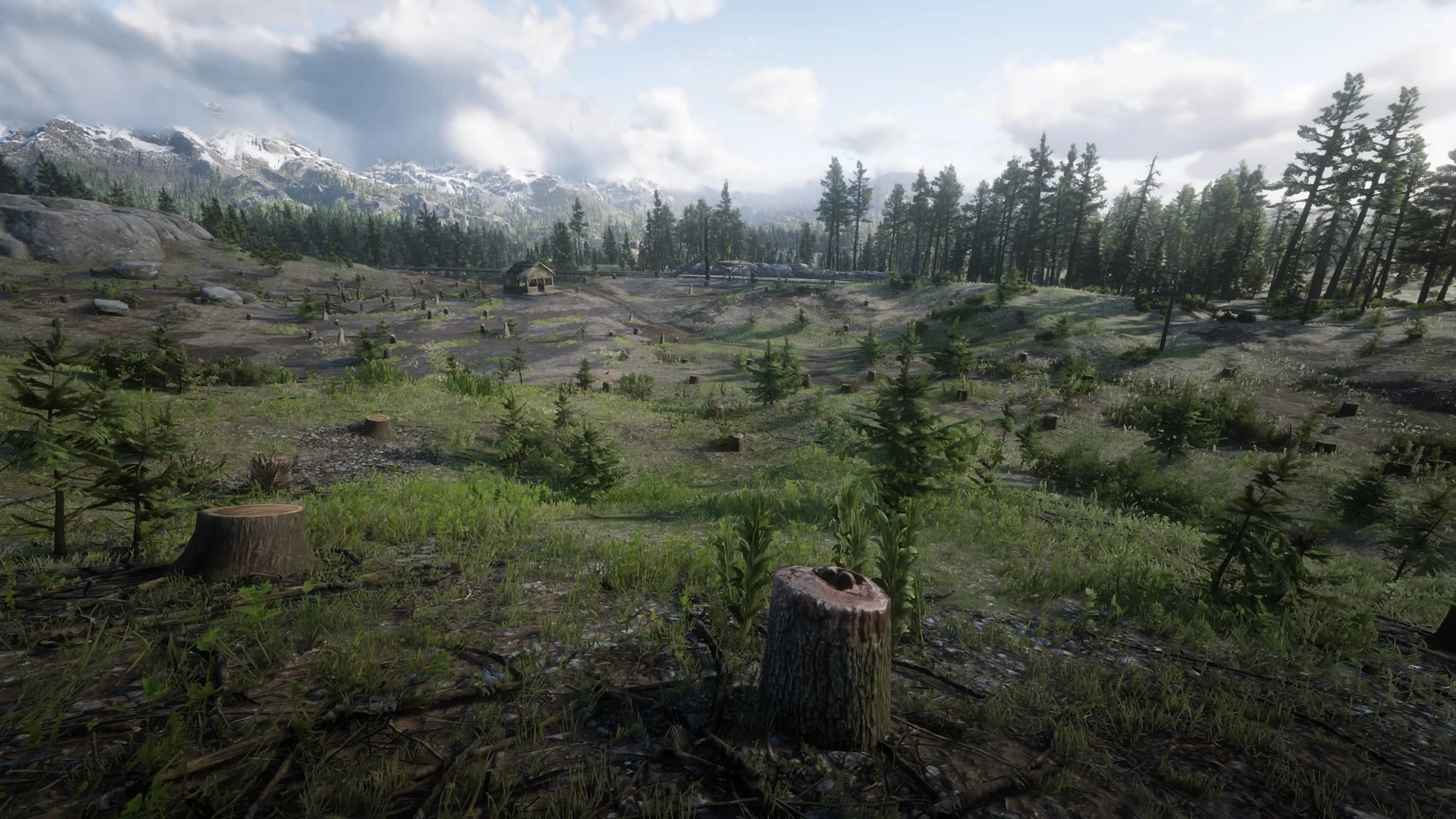 Appleseed Timber Company Red Dead Redemption Wiki Fandom