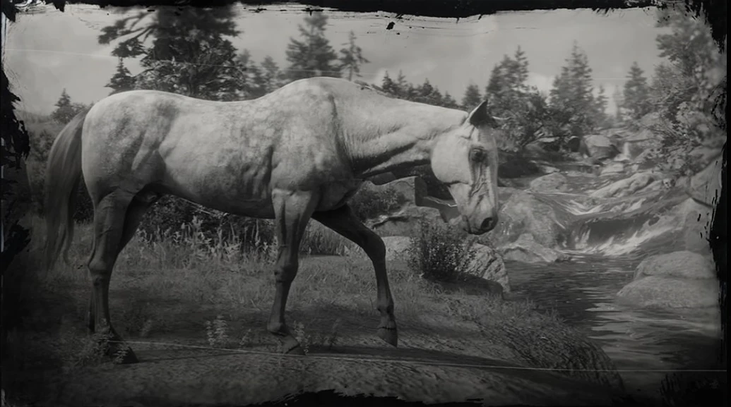 Red Dead Redemption 2 Englisches Vollblut