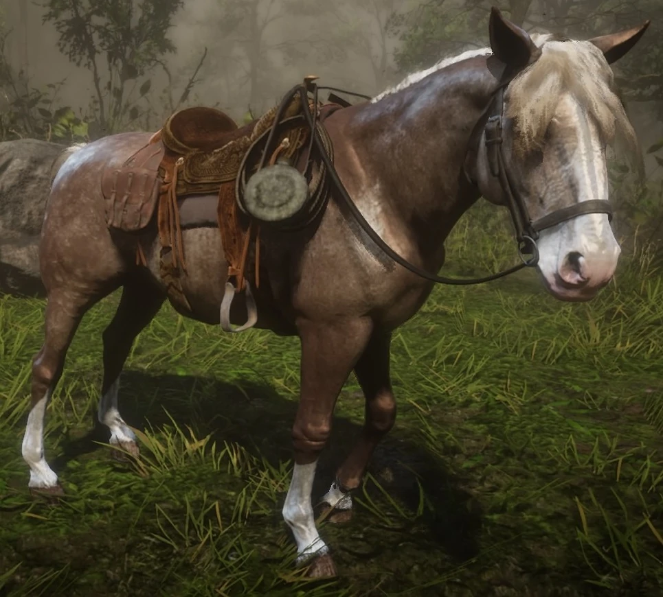 Maggie Red Dead Redemption Wiki Fandom