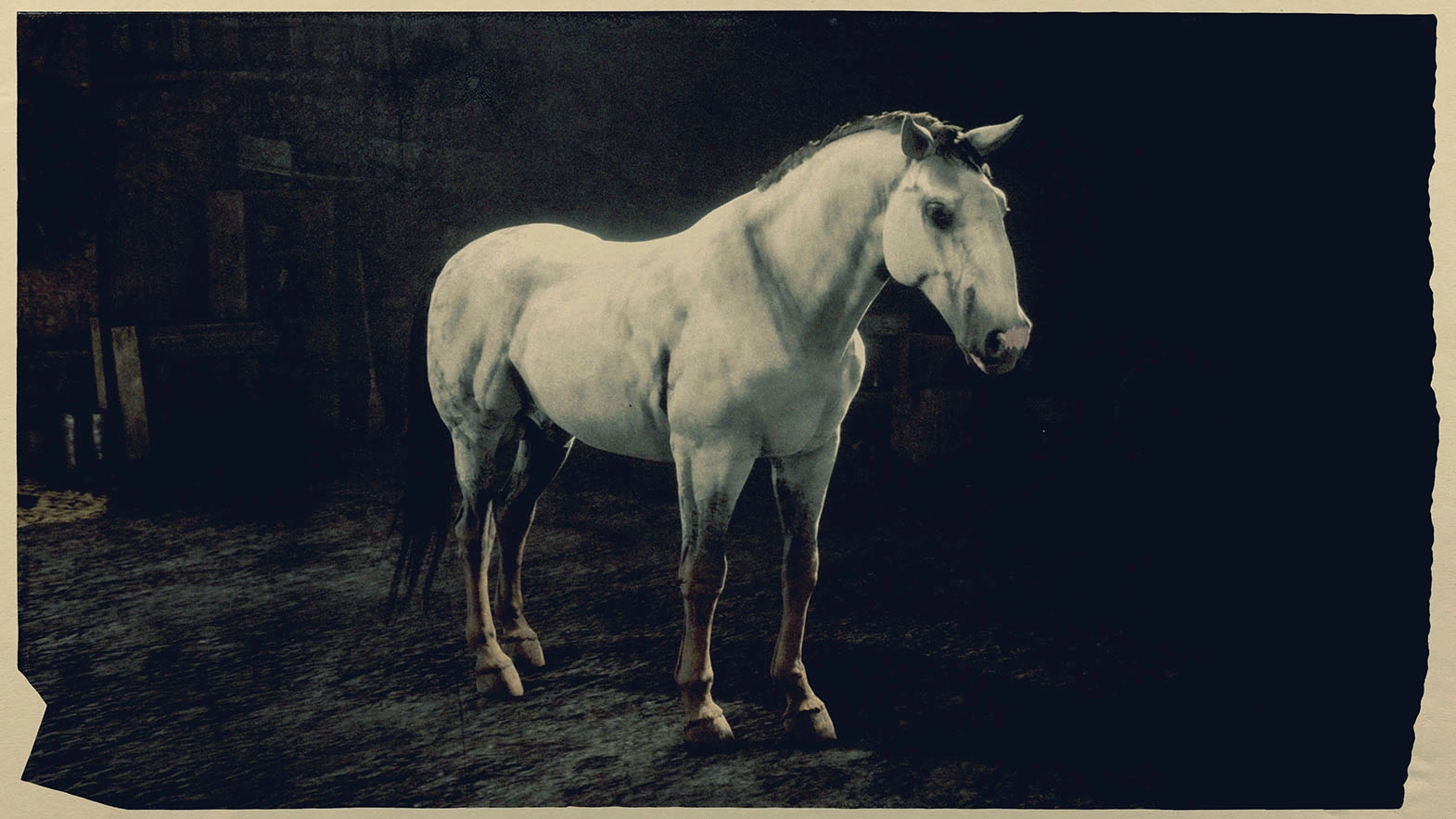 Kladruber Red Dead Redemption Wiki Fandom