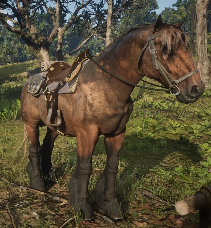 Brown Jack | Red Dead Redemption Wiki | Fandom