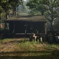 Geheime Hohle Hinter Wasserfall Red Dead Redemption 2 Youtube