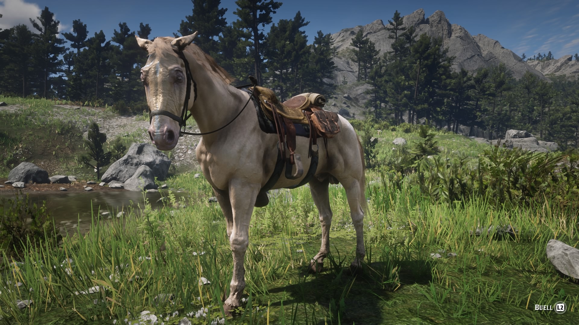 Buell | Red Dead Redemption Wiki | Fandom