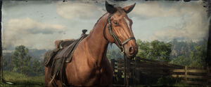 Pferd in Red Dead Online