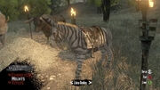 Zebra Esel Multtiplayer