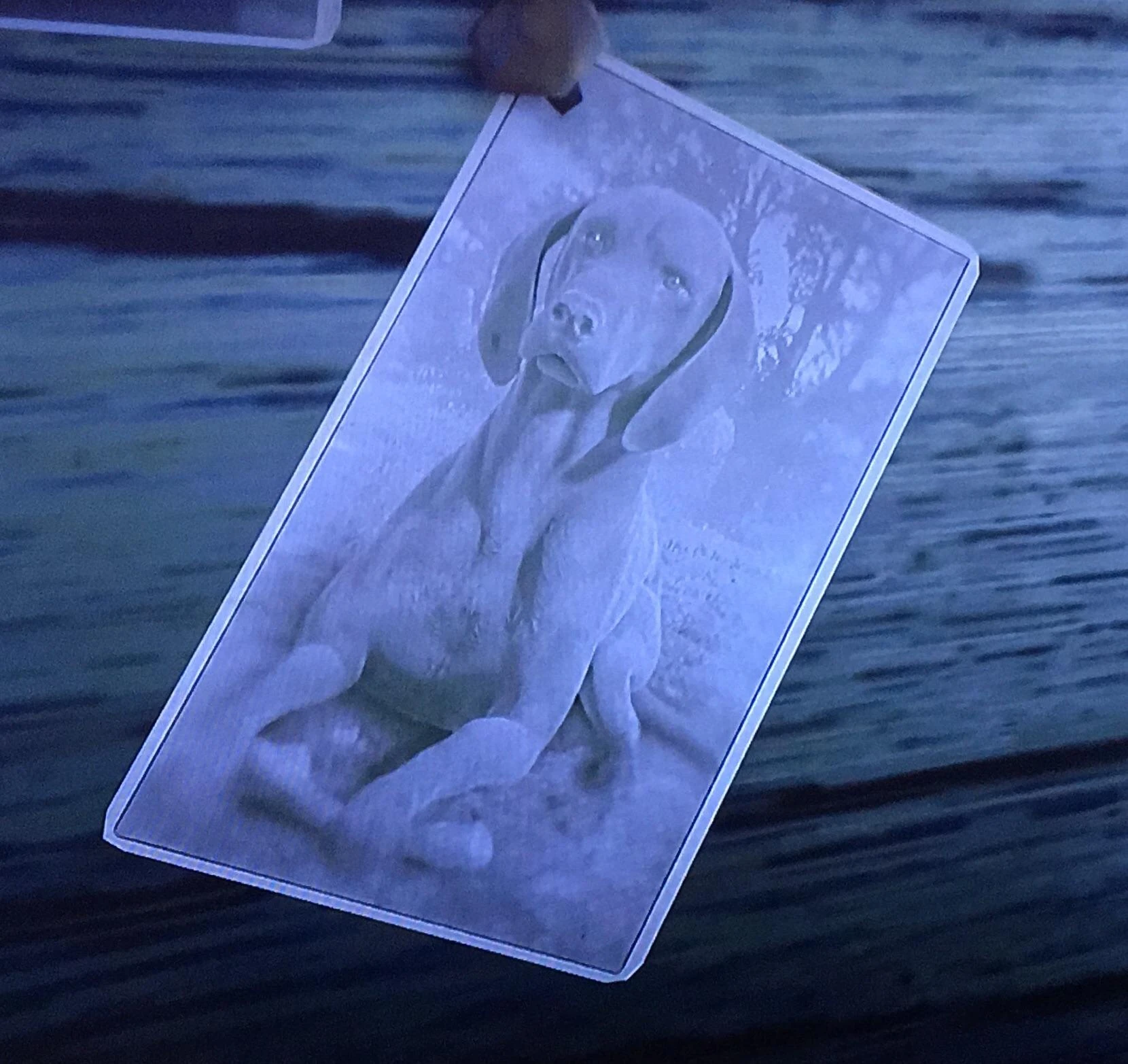 Copper Red Dead Redemption Wiki Fandom