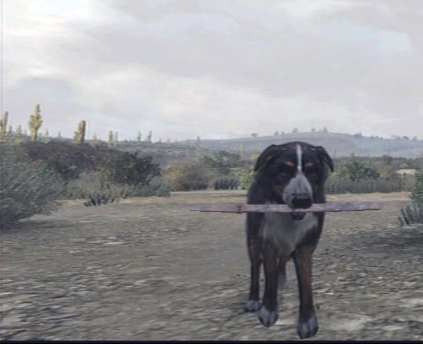 Dogs Red Dead Wiki FANDOM powered by Wikia