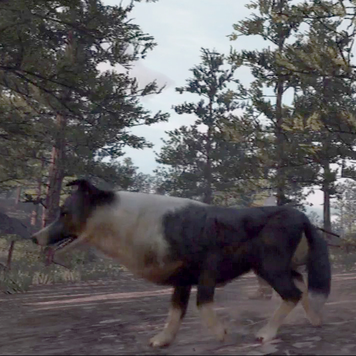Dog Red Dead Wiki Fandom