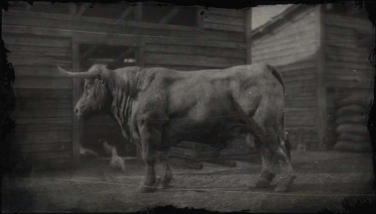 Red Dead Redemption 2 Bull