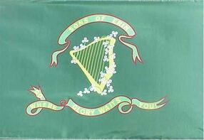 Irish brigade csa