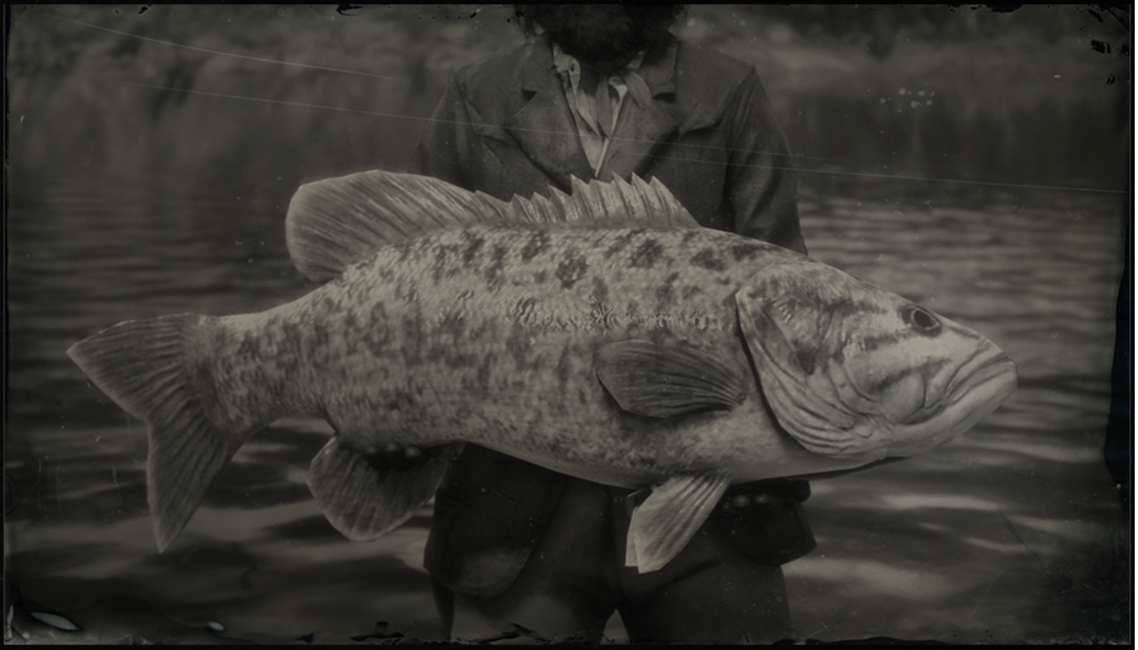 legendary smallmouth bass red