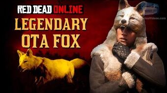Legendary Ota Fox Red Dead Wiki Fandom