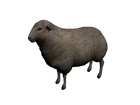 Obeja