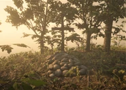 SeanMacguireGrave.png (2,21 MB) SeanMacguireGrave