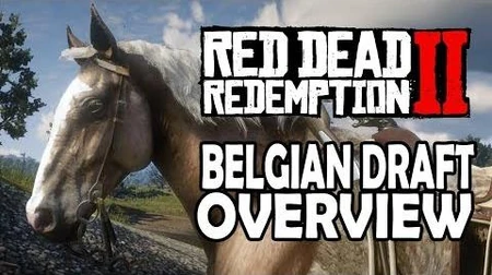 Belgian Draft Horse | Red Dead Wiki | Fandom