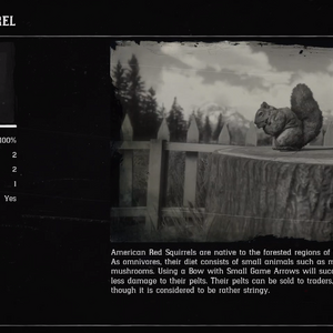Squirrel Red Dead Wiki Fandom