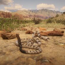 Snake Rdr 2 Red Dead Wiki Fandom