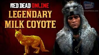 Legendary Milk Coyote Red Dead Wiki Fandom