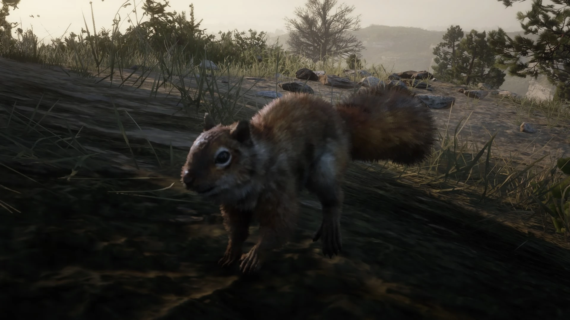 Squirrel Red Dead Wiki Fandom