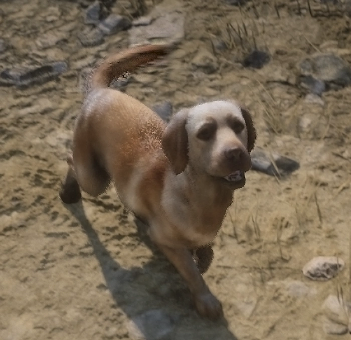 Rufus Red Dead Wiki FANDOM powered by Wikia