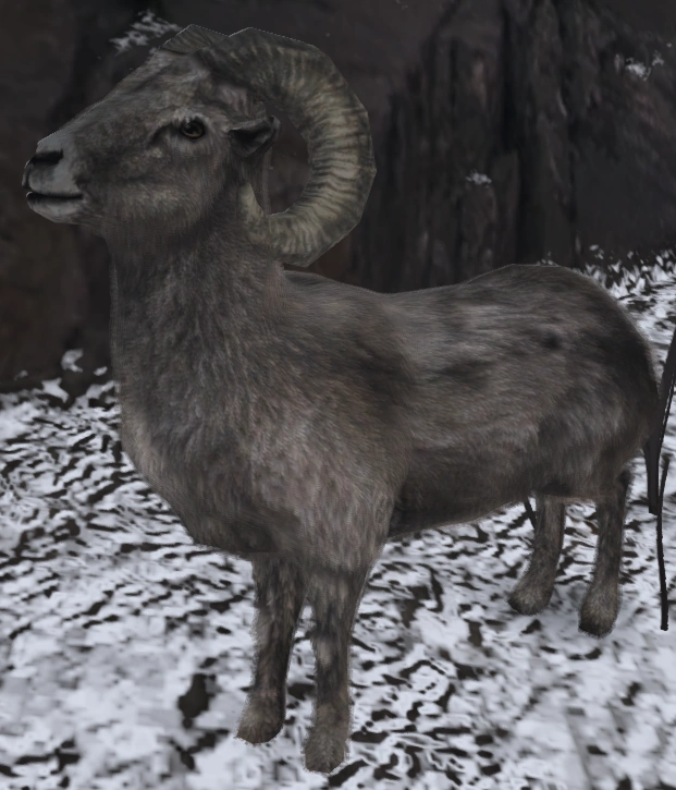 Red Dead Redemption Bighorn Sheep