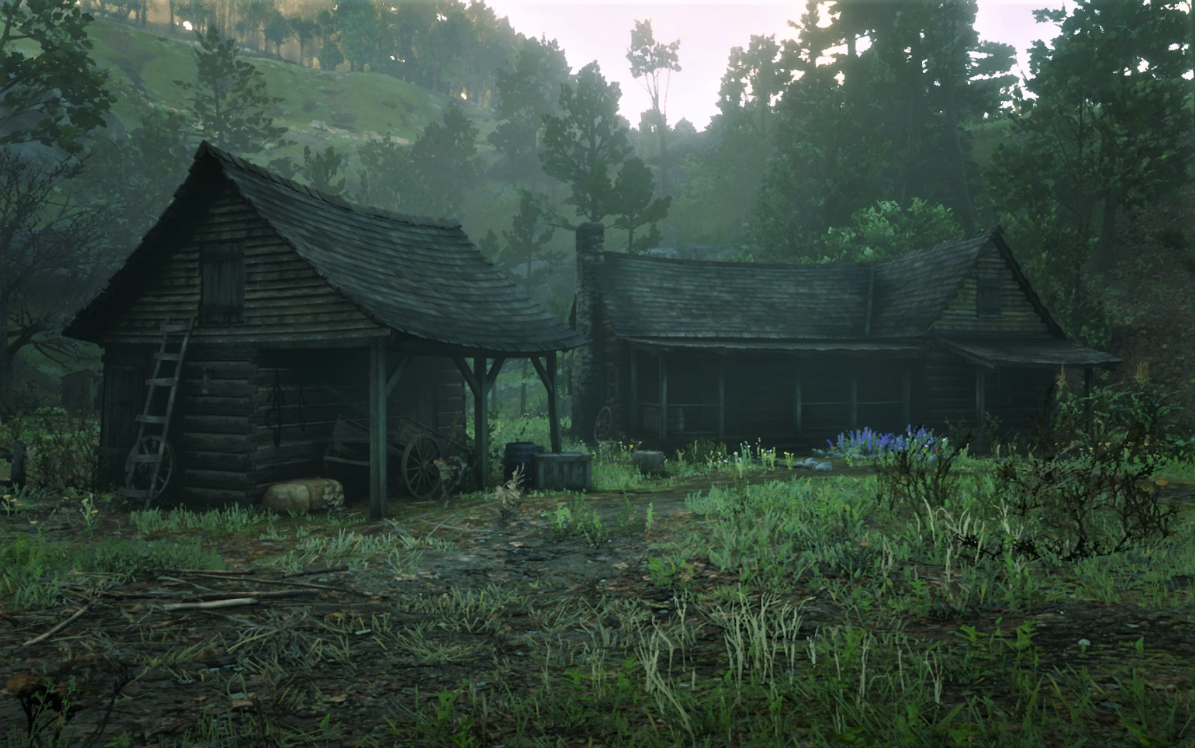 поместье брейтуэйт red dead redemption 2. рдр 2 хижина в лесу. рдр 2 прохождение. Red dead redemption 2 дуэль. таинственный дом на холме rdr 2.