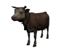 Vaca23
