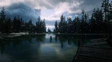 Aurora basin shack