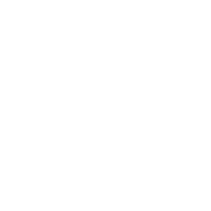 Saint Denis Red Dead Wiki Fandom