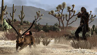 Huntingtrading jackalope