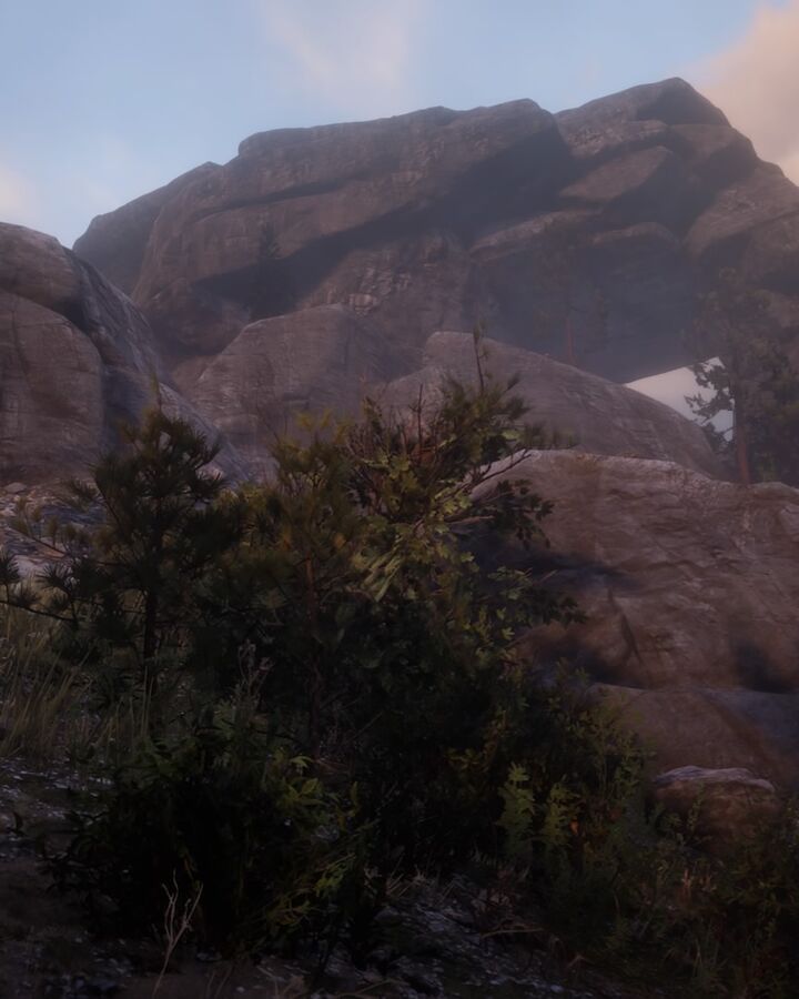 Window Rock Red Dead Wiki Fandom