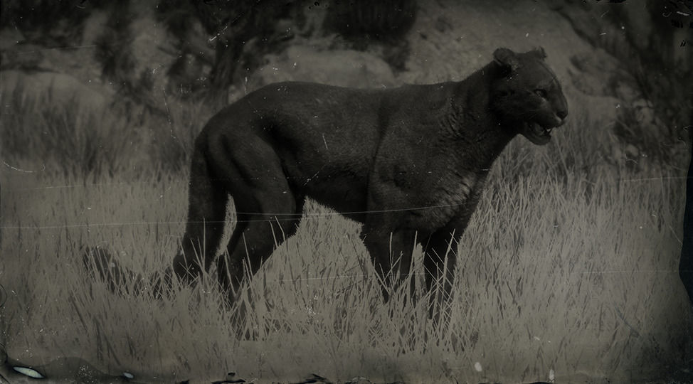 Red dead redemption 2 legendary animals wiki Red dead redemption 2 legendary animals wiki