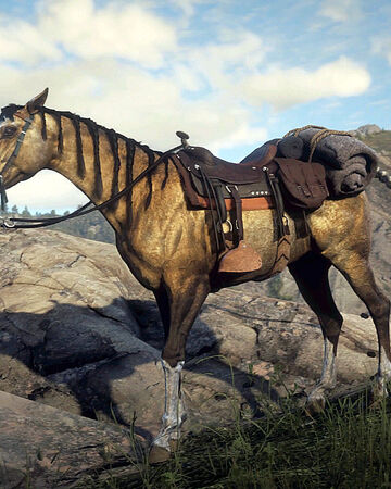 Turkoman Red Dead Wiki Fandom