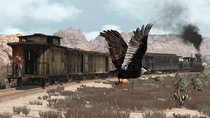 Rdr hawk