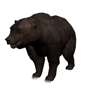 Grizzly Bear Red Dead Wiki Fandom