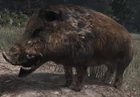 Jabali