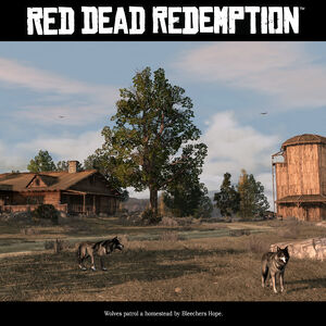 Beecher S Hope Red Dead Wiki Fandom